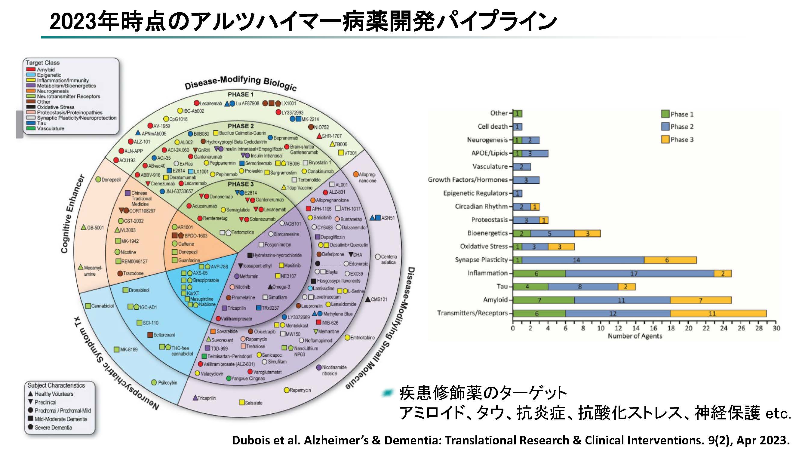 2023�N���_�̃A���c�n�C�}�[�a��J���p�C�v���C��